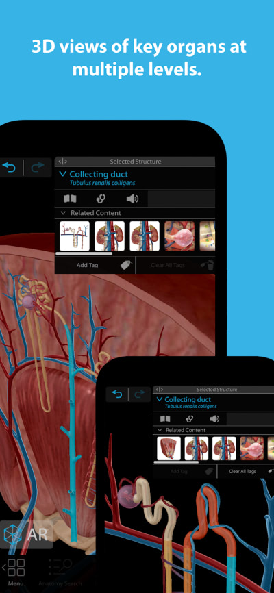 Hình ảnh Human Anatomy Atlas 2023 MOD