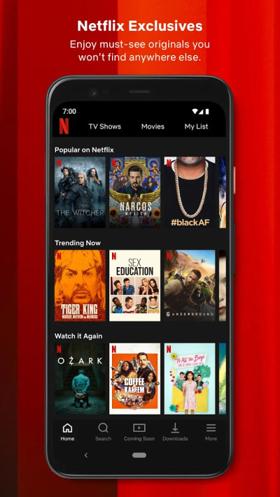 Hình ảnh Netflix MOD