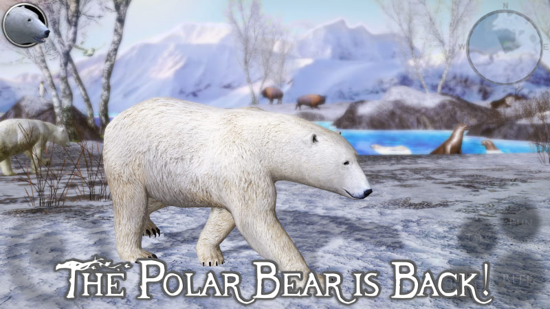 Hình ảnh Polar Bear Simulator 2 MOD