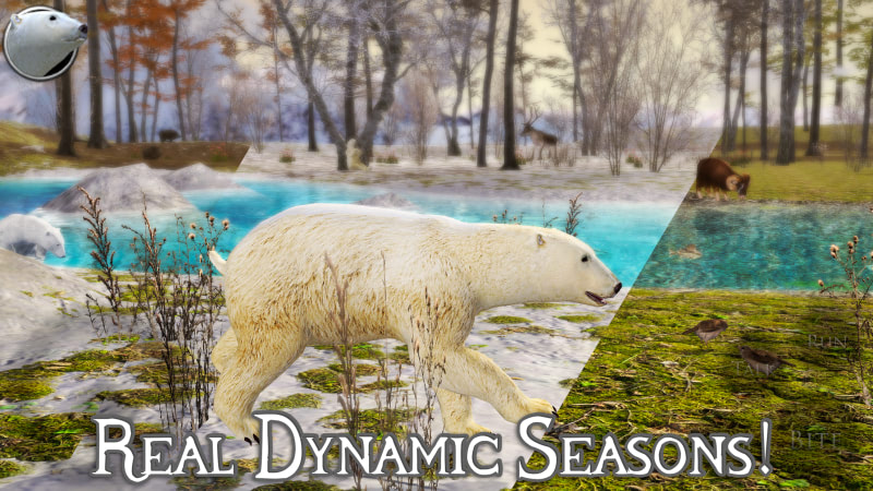 Hình ảnh Polar Bear Simulator 2 MOD