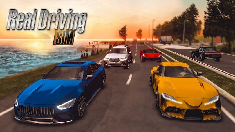 Hình ảnh Real Driving Sim MOD 