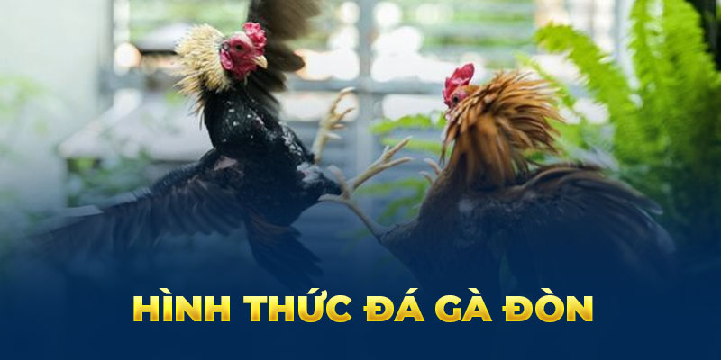 Hình thức đá gà đòn