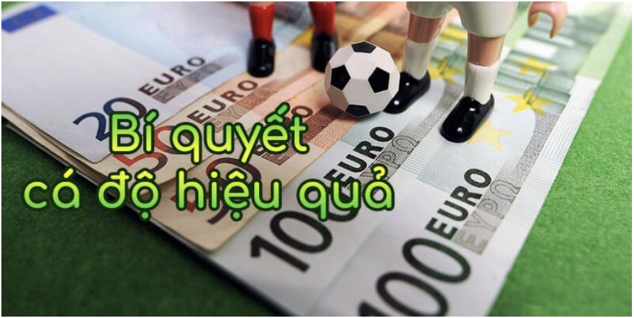 6 mẹo cá cược bóng đá hiệu quả do chuyên gia chia sẻ