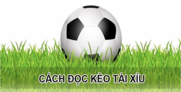 Những điều lưu ý khác 