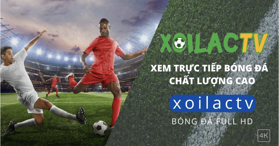 Hướng dẫn xem trực tiếp bóng đá nhanh chóng trên Xoilac TV