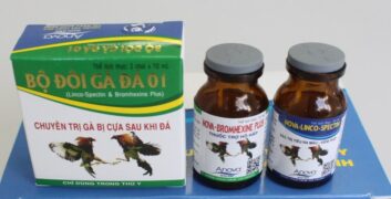 Cân nhắc chế độ dinh dưỡng của gà đá hợp lý