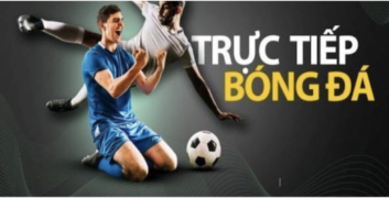 Hướng dẫn tất cả các trận cầu tại nền tảng mitom1-tv.pro