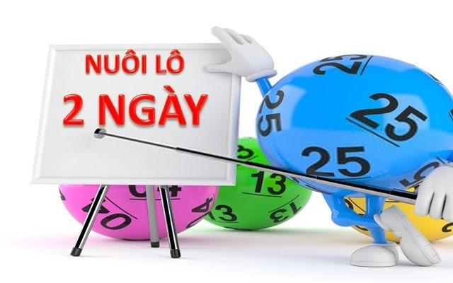 Cách nuôi lô khung 2 ngày